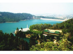 “揽胜崖门”航线